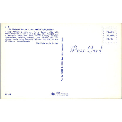 Amish People Out for a Sunday Buggy Ride Pennsylvania Dutch Country Postcard PD8