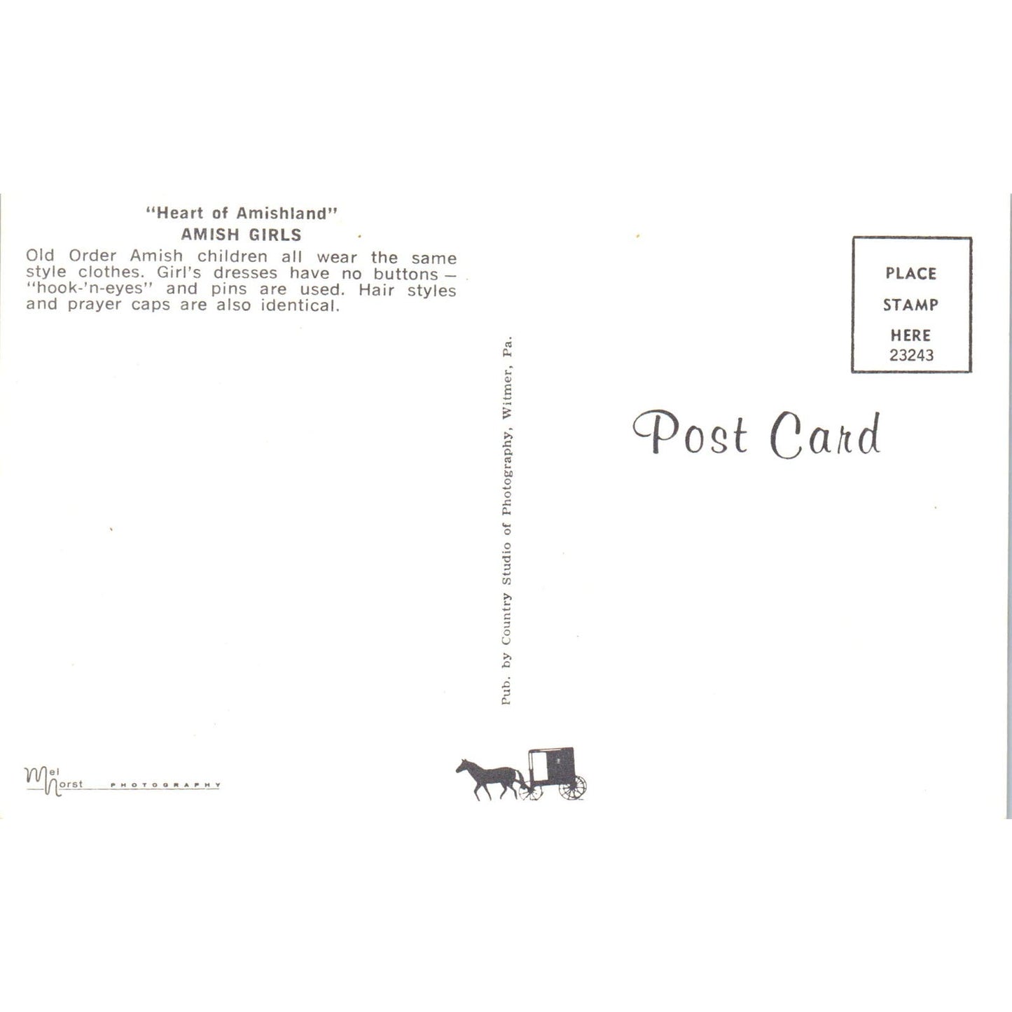 Amish Girl in Traditional Dress Pennsylvania Dutch Country Postcard PD8