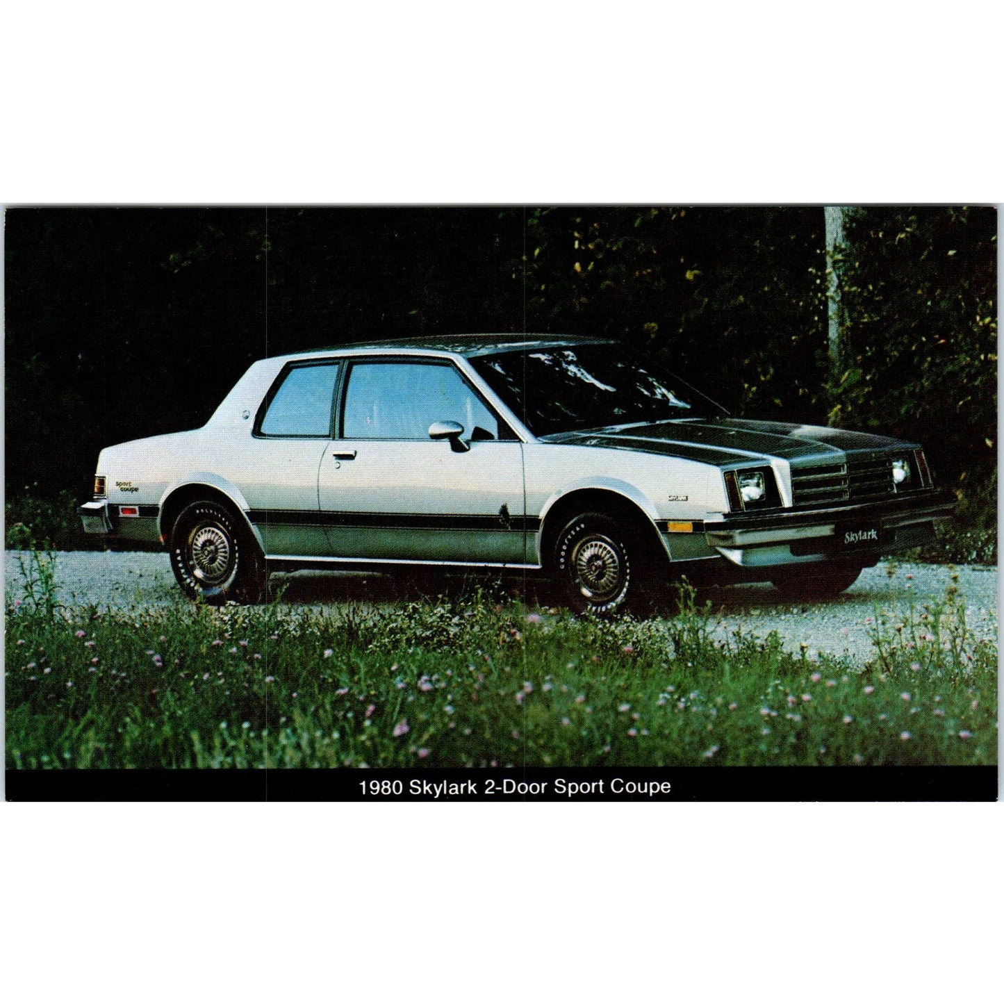1980 Buick Skylark 2-Door Sport Coupe Silver Vintage Postcard PC12