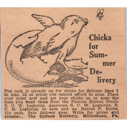 The Cyclone Hatchery Chicks Millertown PA 1922 Magazine Ad AF2-S8