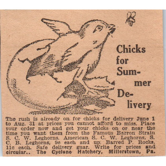 The Cyclone Hatchery Chicks Millertown PA 1922 Magazine Ad AF2-S8