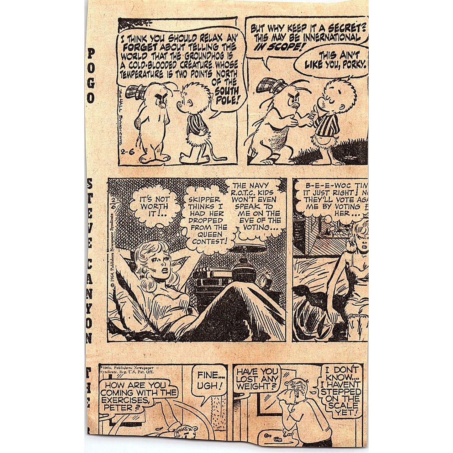 Sarah Troupe Acrobatic Group Shrine-Polack Bros Circus Fort Wayne IN c1964 AG1-9