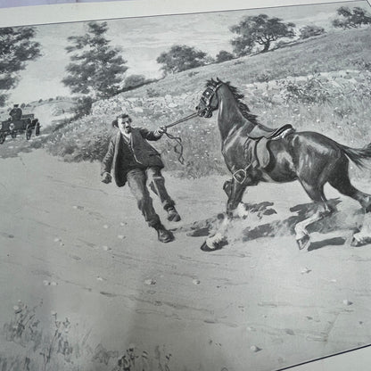 Woah There - Spooked Horse - Original 1904 A.B. Frost Art Print V14-3
