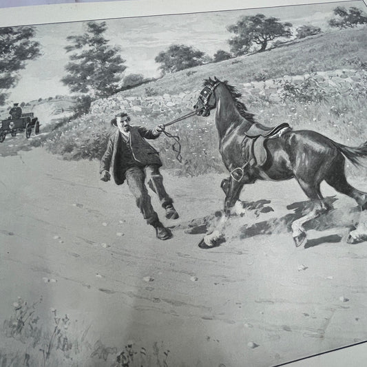 Woah There - Spooked Horse - Original 1904 A.B. Frost Art Print V14-3