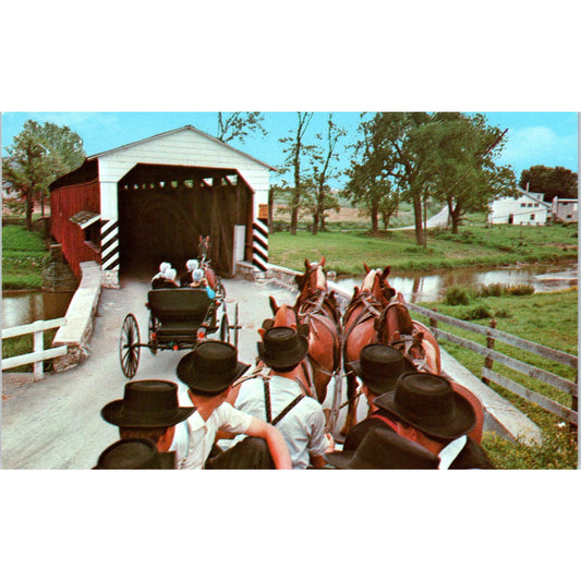 Amish Girls Pulled in Farm Wagon Pennsylvania Dutch Country Postcard PD7