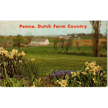 Heart of Amishland Pennsylvania Dutch Country Postcard PD7