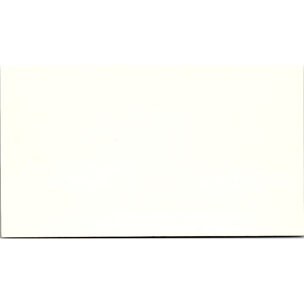 Carey Whitehead WRM White Petrov McHone CPA Houston Vintage Business Card SD9-B1