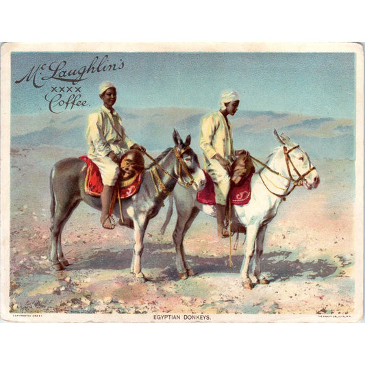 1880s Egyptian Donkeys McLaughlin's Coffee Large Victorian Trade Card AE9-LT