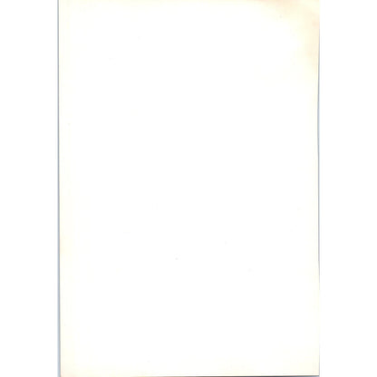 Portrait of Martin Van Nieuwenhove - Memlinc c1905 Art Print D16