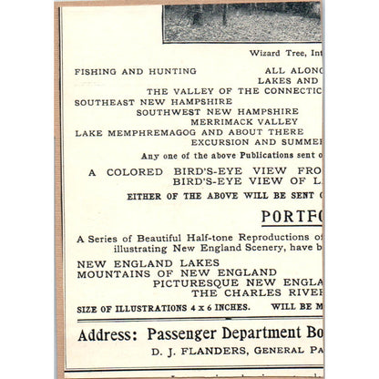 Picture Lighting I.P. Frink New York City c1905 Victorian Ad AE9-MA7