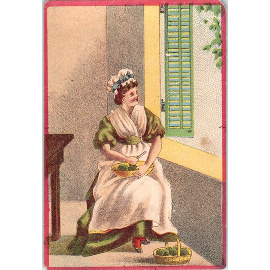 WP Chambers Dry Goods Morrisville NY c1880 Victorian Trade Card AE2