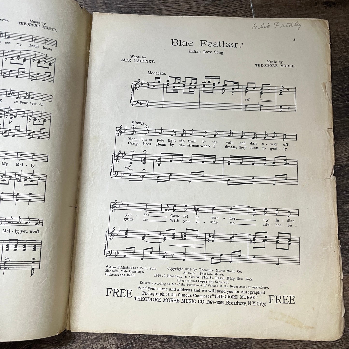Blue Feather Song Theodore Morse 1909 Sheet Music V13