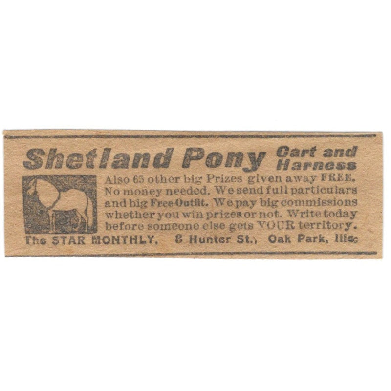 Shetland Pony Cart and Harness Star Monthly Oak Park IL 1906 Original Ad AK6-S10