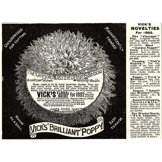 Vick's Brilliant Poppy James Vick's Sons Rochester NY 1892 Ad AG2-H5