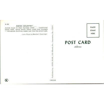 Amish Boys in their Sunday Dress Pennsylvania Dutch Country Vintage Postcard PD5