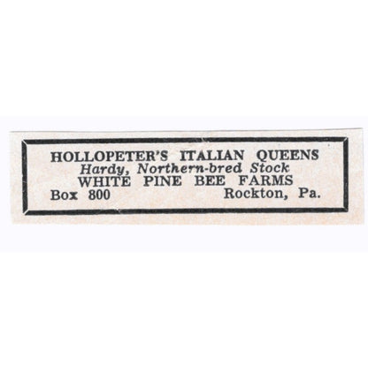 Hollopeter's Italian Queens White Pine Bee Farms Rockton PA 1961 Ad AB6-S13