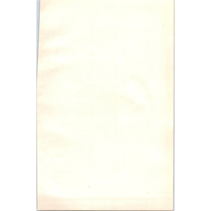 Kentish Plover Bird 1903 Original Color Engraving Plate Print AD8-B5