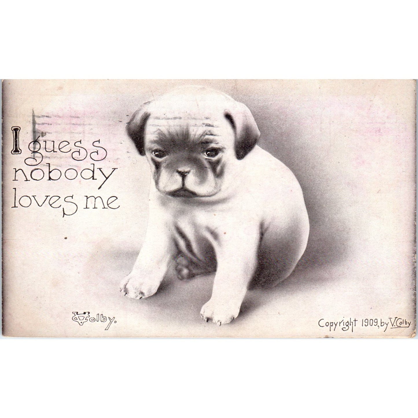 Pug Puppy I Guess Nobody Loves Me Vincent Colby Illustration 1909 Postcard PD2
