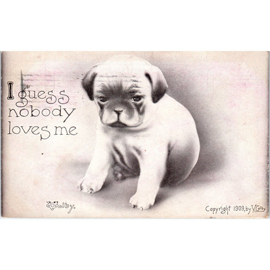 Pug Puppy I Guess Nobody Loves Me Vincent Colby Illustration 1909 Postcard PD2