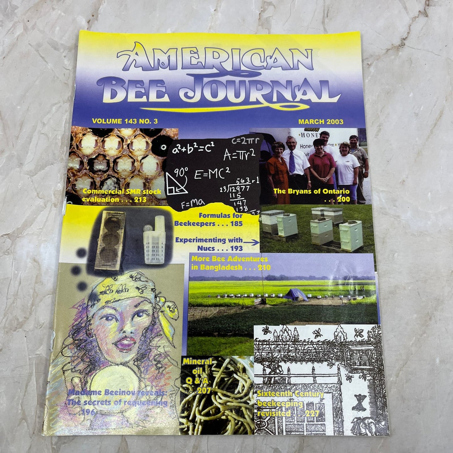 2003 March American Bee Journal Magazine Bees Beekeeping Honey M7