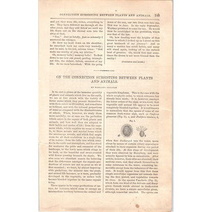 1857 Article The Connection of Subsisting Between Plants & Animals Coultas D19-5