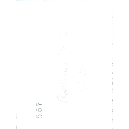 1920s Original Photo View of Arethusa Falls Crawford Notch NH 3x4" AE6