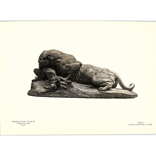Jaguar Devouring a Hare - Barye - 1904 Litho Art Print AF4-6