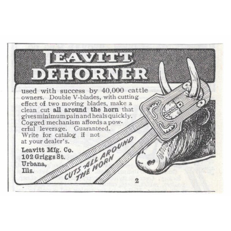 Leavitt Dehorner Urbana IL 1913 Magazine Advertisement AE7-N8
