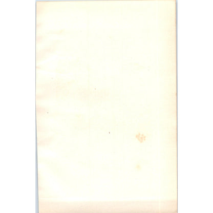 Red-Legged Partridge Bird 1903 Original Color Engraving Plate Print AD8-B1