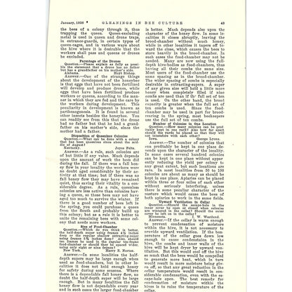 Gleaned by Asking Geo. S. Demuth 2 Page Beekeeping Article 1926 AG3-9