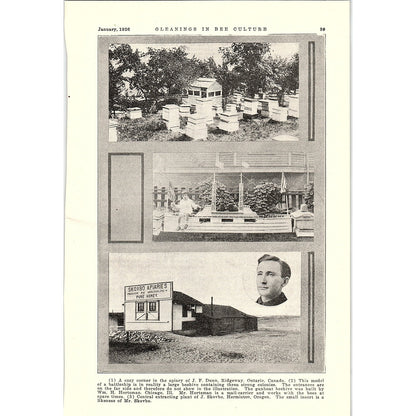 J.F. Dunn Apiary Ridgeway, Wm H Hortsman Beehive, J.Skovbo Hermiston 1926 AG3-9