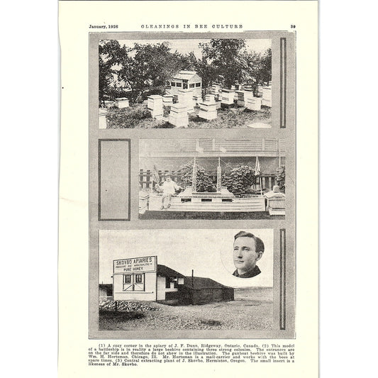 J.F. Dunn Apiary Ridgeway, Wm H Hortsman Beehive, J.Skovbo Hermiston 1926 AG3-9