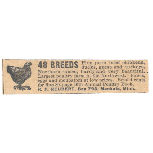 R.F. Neubert Chickens Mankato MN 1910 Magazine Ad AF1-SS8