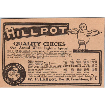 W.F. Hillpot Chicks Frenchtown NJ 1922 Magazine Ad AF2-A5