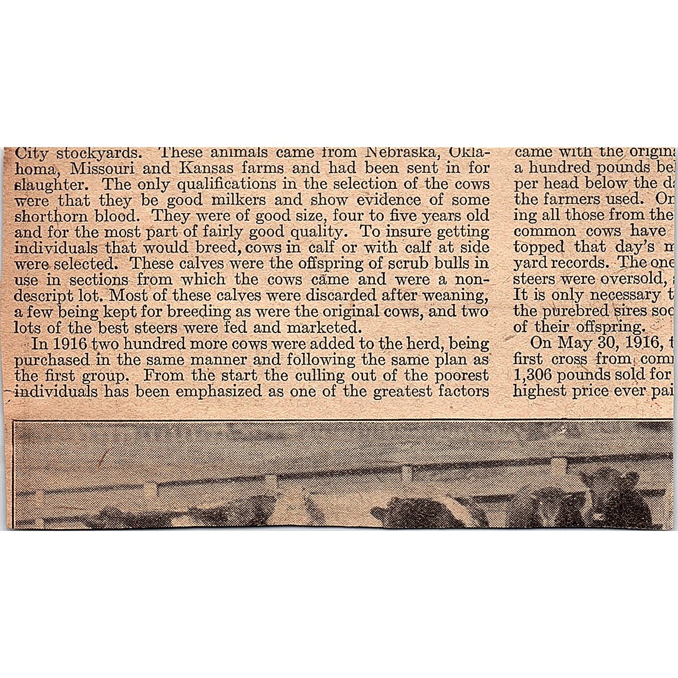 Smith Brothers' S.B. Cough Drops Poughkeepsie NY 1920 Ad AG2-6