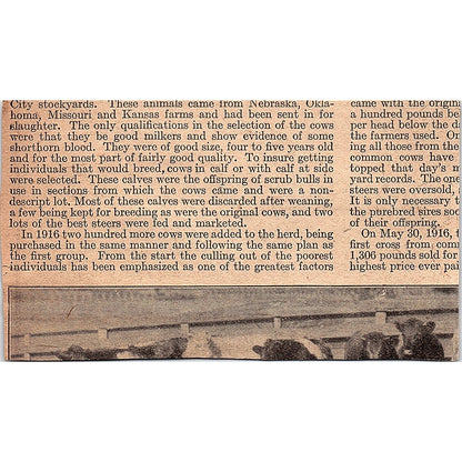 Smith Brothers' S.B. Cough Drops Poughkeepsie NY 1920 Ad AG2-6