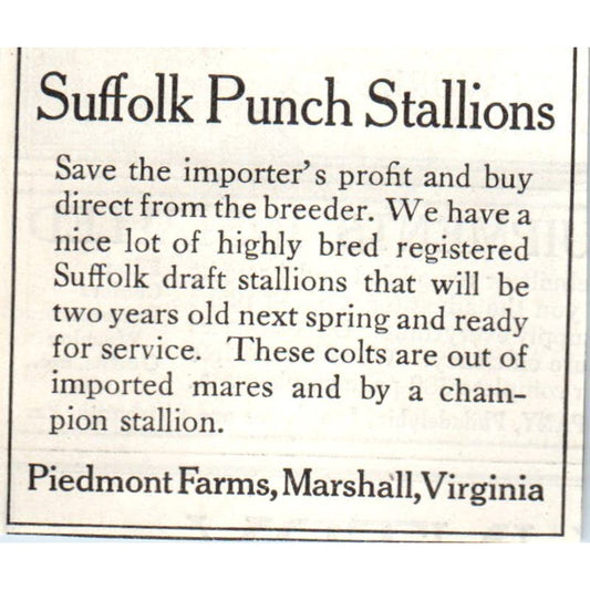 Suffolk Punch Stallions Piedmont Farms Marshall VA 1913 Magazine Advert AE7-N7