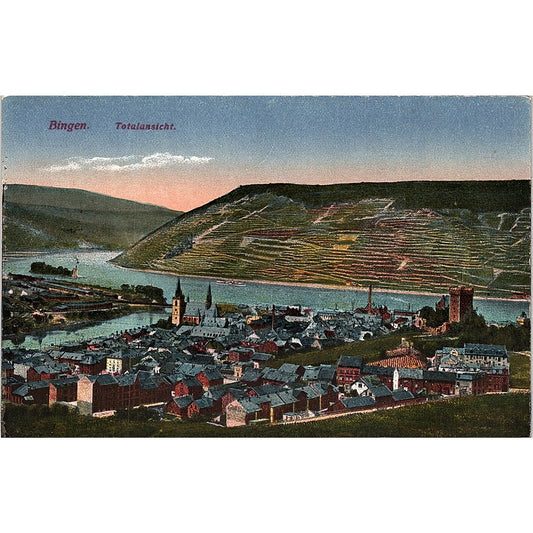Bingen Total Ansicht German Antique Postcard PE9