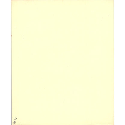 The Bridegroom Wallace Bassford Contemporary American Vintage Art Print 8x10 V5