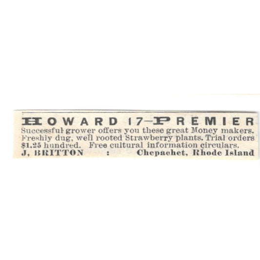 J. Britton Howard 17 Premier Strawberry Plants Chepachet RI 1924 Ad AG3-S7