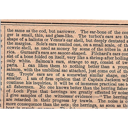 Screens for Outlets to Trout Ponds T.E. Porter New York 1878 Article AG2-M8