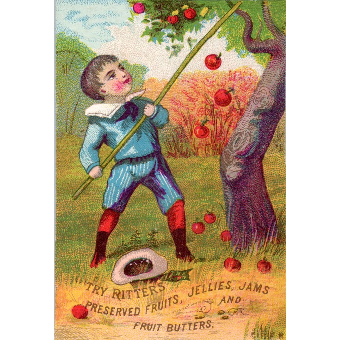 Ritters Jellies Jams Butters Boy Picking Apples c1880 Victorian Trade Card AE5