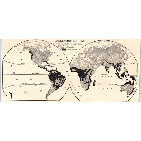 World Map of Vegetation Regions 1901 Engraving AF2-A6