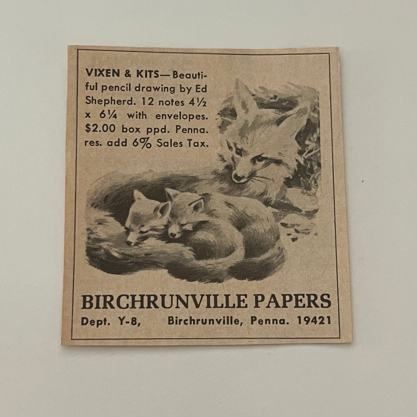 Birchrunville Papers Fox Vixen & Kits Birchrunville PA 1971 Magazine Ad SAG4-S15