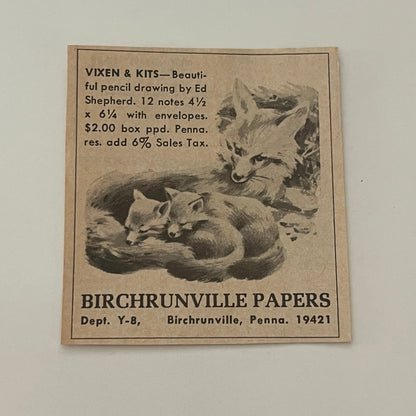 Birchrunville Papers Fox Vixen & Kits Birchrunville PA 1971 Magazine Ad SAG4-S15