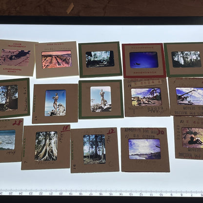 WWII 1944 Large Group of ~39 Slides US Soldier at Sansapor South Pacific TB8-SL1