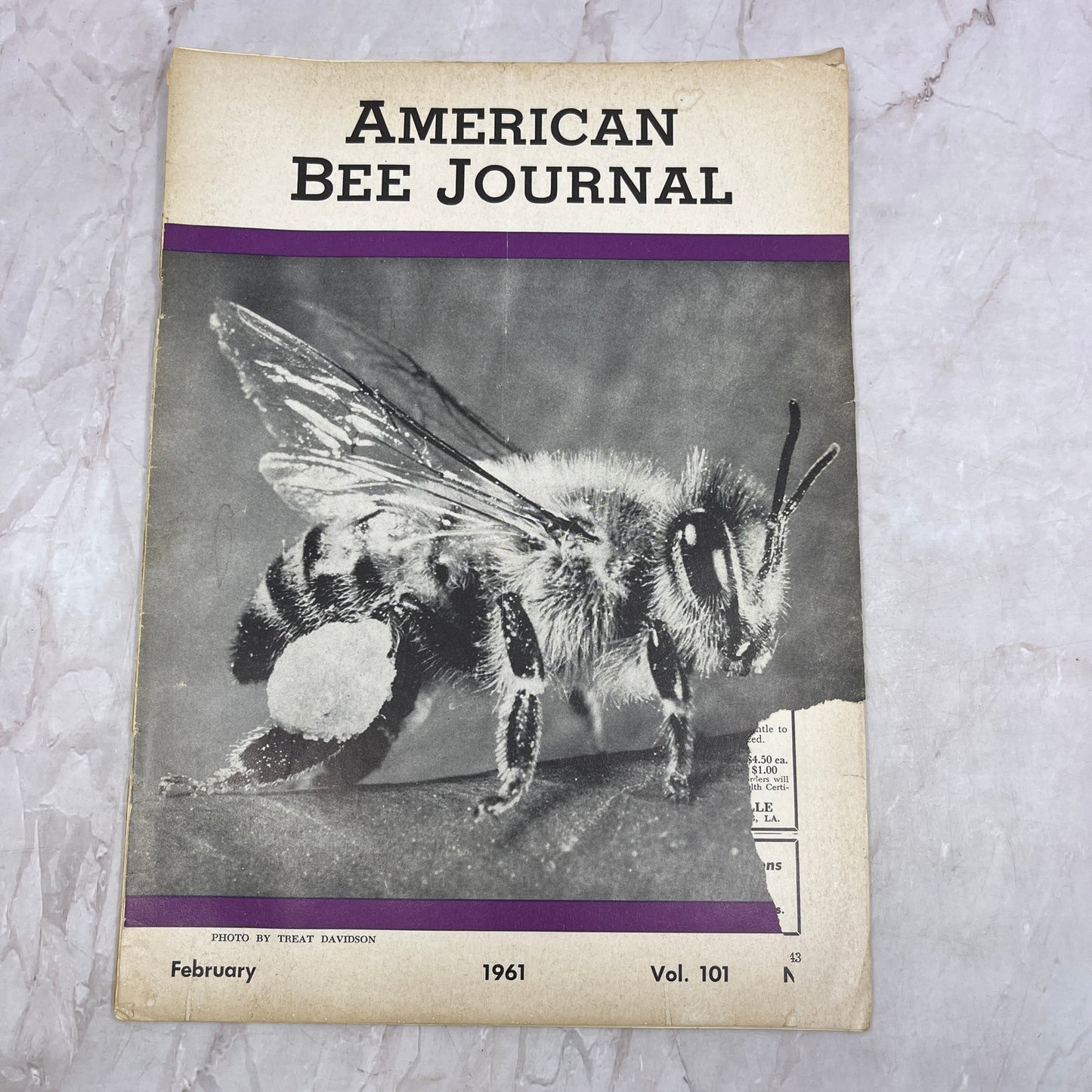 1961 Feb - American Bee Journal - Bees Beekeeping Honey M32