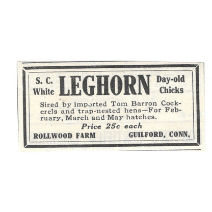 Rollwood Farm S.C. White Leghorns Guilford CT 1924 Ad AG3-S4