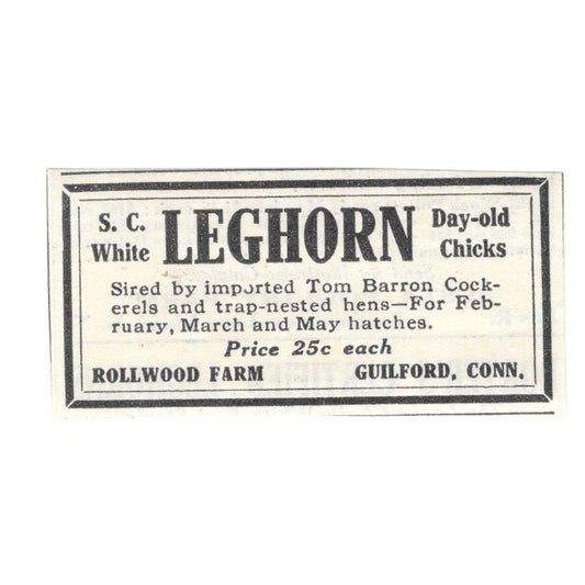 Rollwood Farm S.C. White Leghorns Guilford CT 1924 Ad AG3-S4