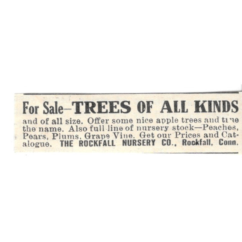 The Rockfall Nursery Co Trees Rockfall CT 1924 Ad AG3-S7